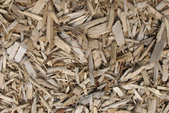 biomass boilers Llanbadoc
